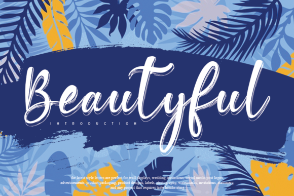Beautyful Font: A Script Amp Typeface That Elevates Digital Design