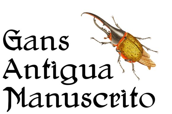 Gans Antigua Manuscrito Font: A Handwritten Touch for Your Brand