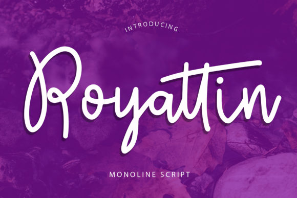 Royattin: A Beautiful Handwritten Font for Branding